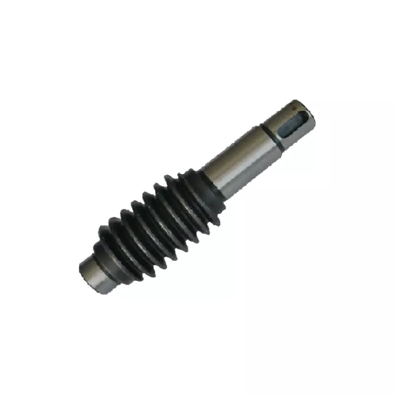 Worm (JG-WG-6)