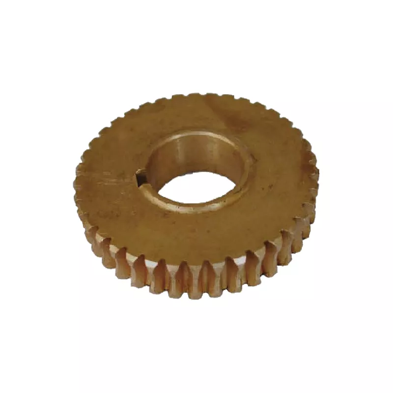 Worm gear (JG-WL-5-T38)