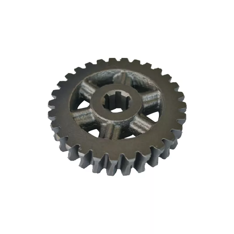 Worm gear (JG-WL-1-Q29)